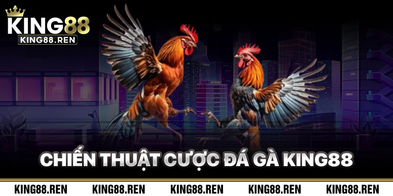 Chiến Thuật Cược Đá Gà King88 Hiệu Quả