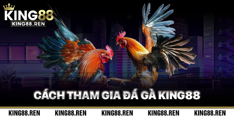 Cách Tham Gia Đá Gà King88 Hiệu Quả
