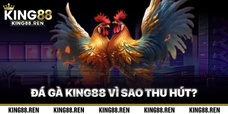 Điều Gì Làm Đá Gà King88 Thu Hút Người Chơi?