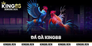 Đá Gà King88